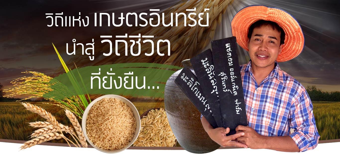 แซตอม ฟาร์ม สเตย์