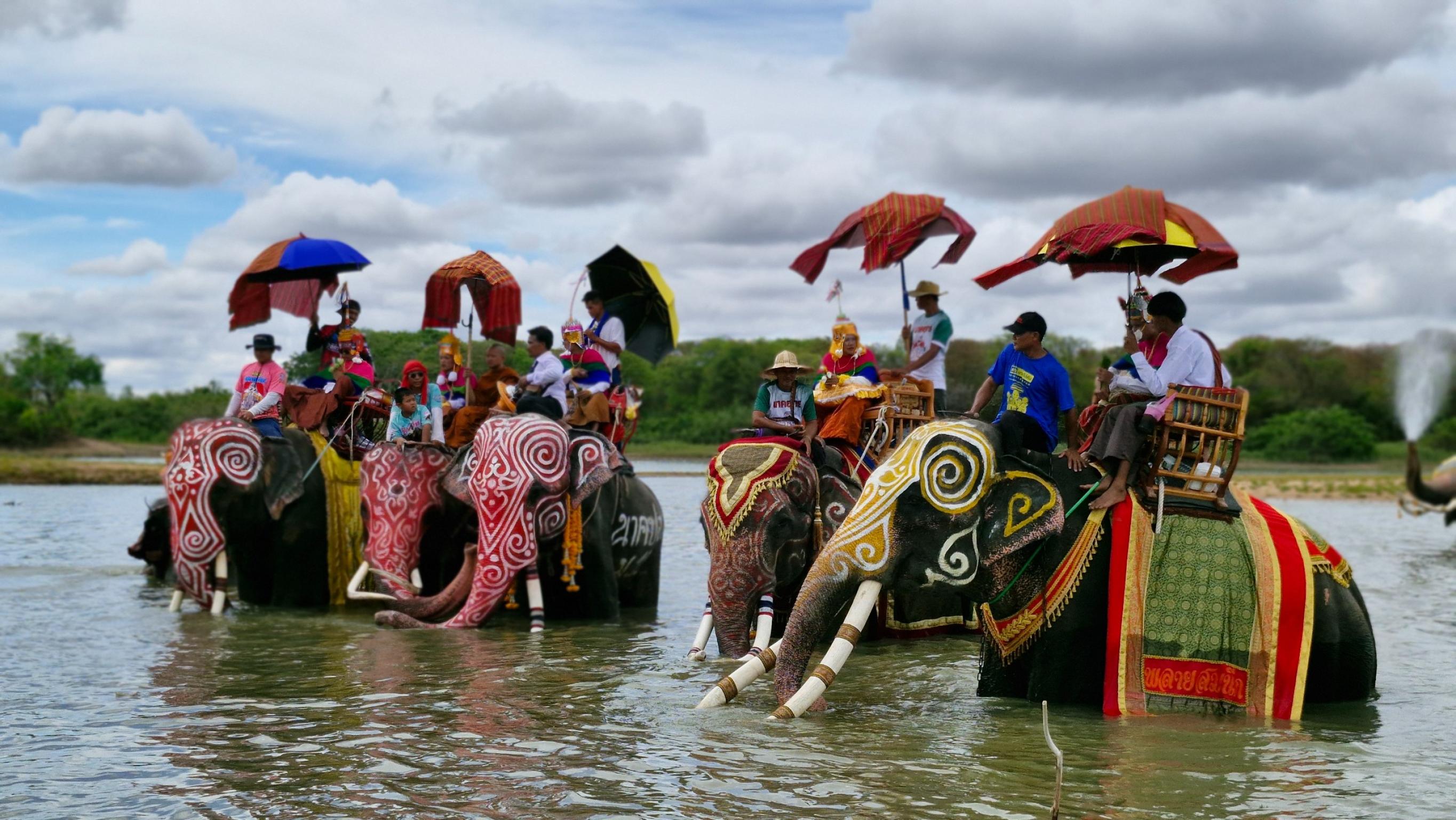 งานประเพณีบวชนาคบนหลังช้าง รูปที่ 3