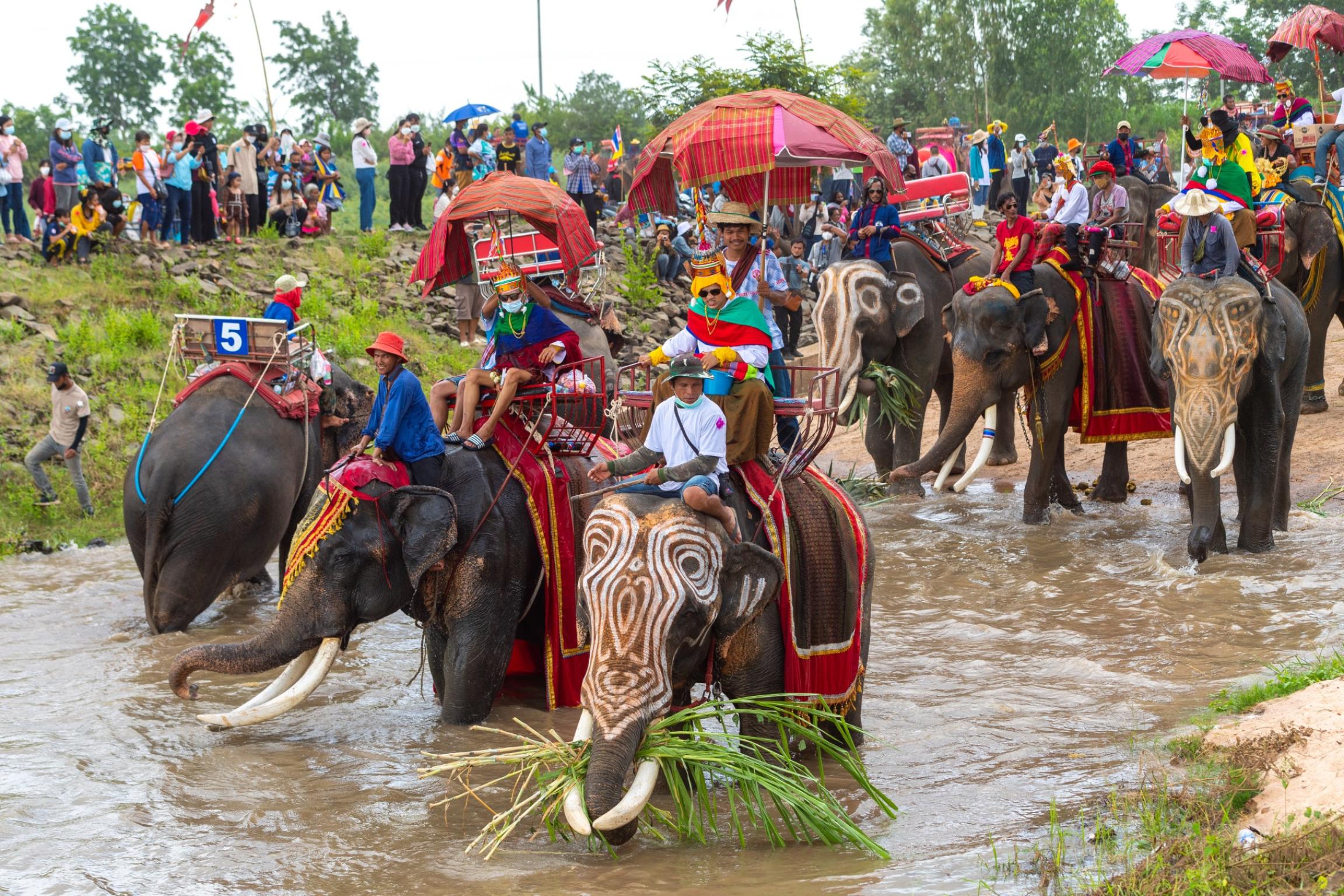 งานประเพณีบวชนาคบนหลังช้าง