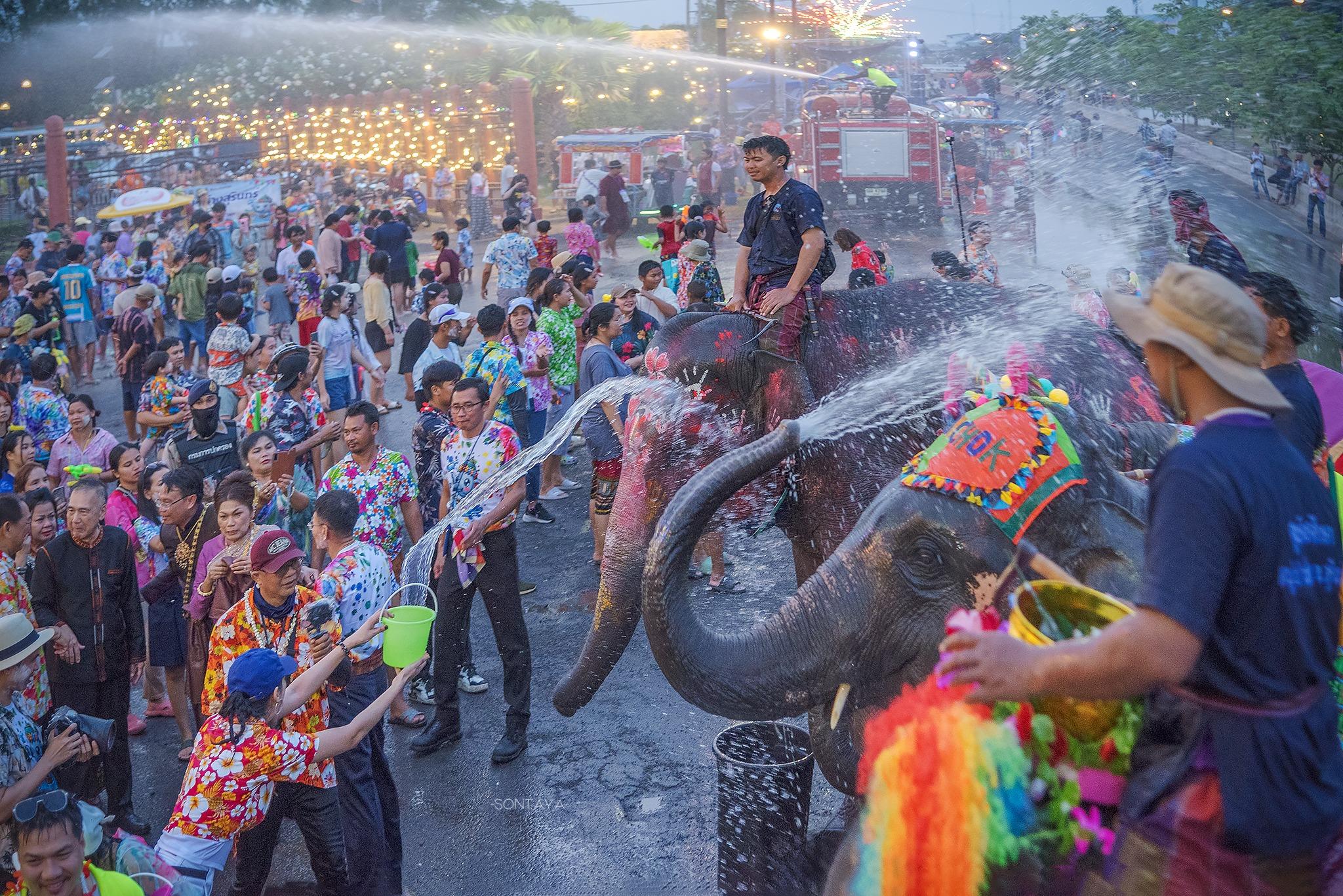 ประเพณีมหาสงกรานต์ช้าง รูปที่ 3