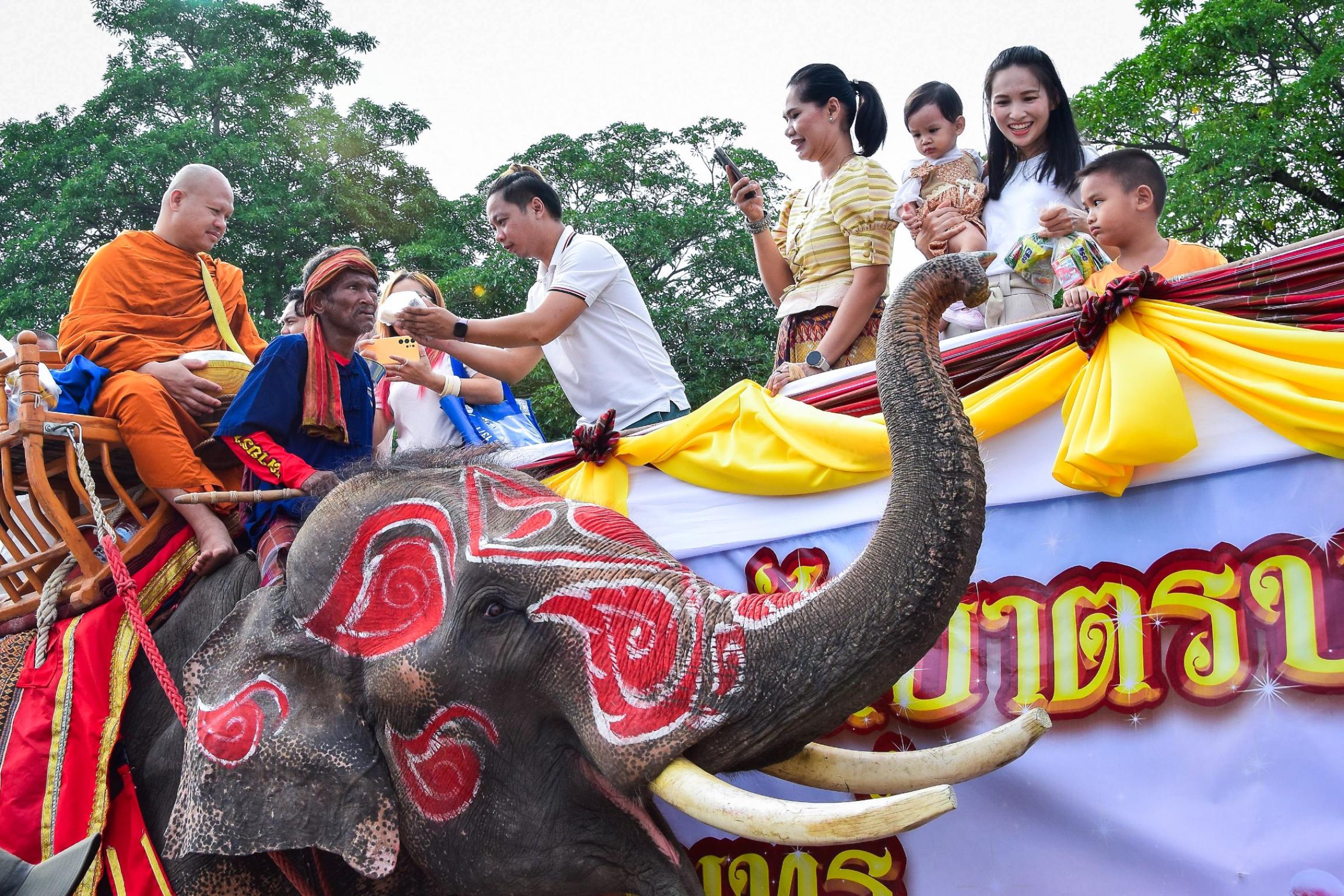 มหกรรมแห่เทียนพรรษาและตักบาตรบนหลังช้างจังหวัดสุรินทร์ รูปที่ 2