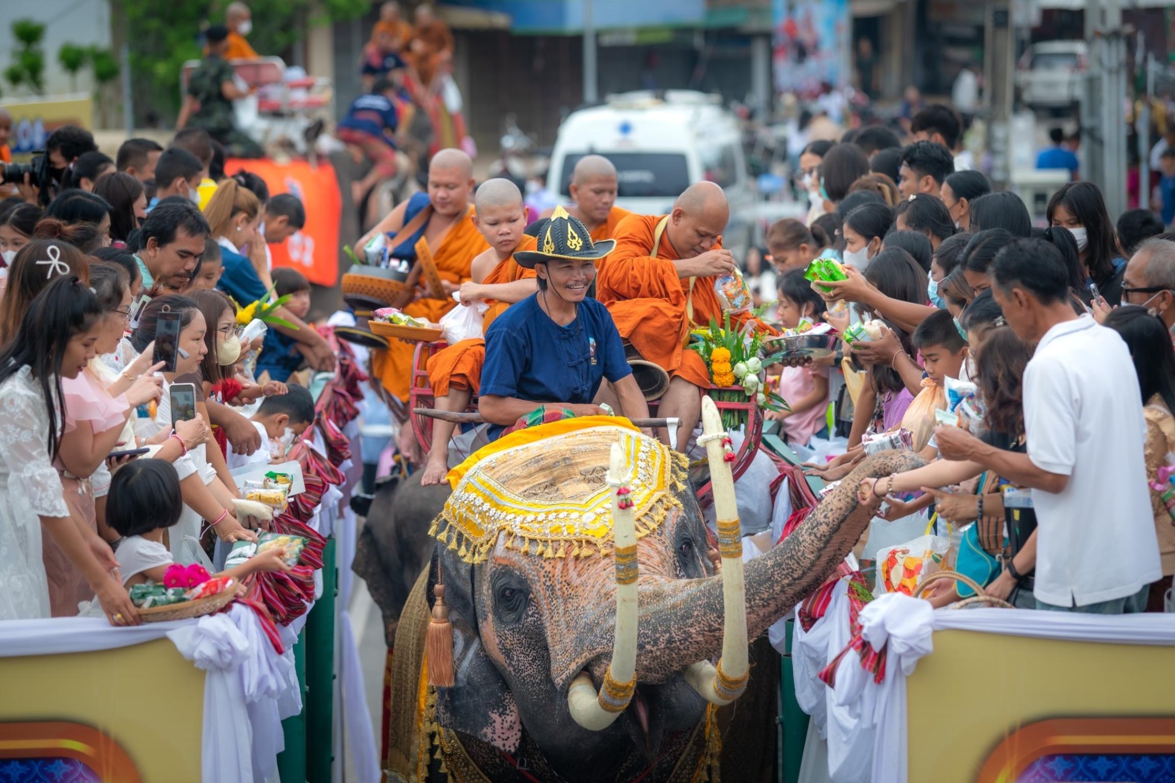 มหกรรมแห่เทียนพรรษาและตักบาตรบนหลังช้างจังหวัดสุรินทร์