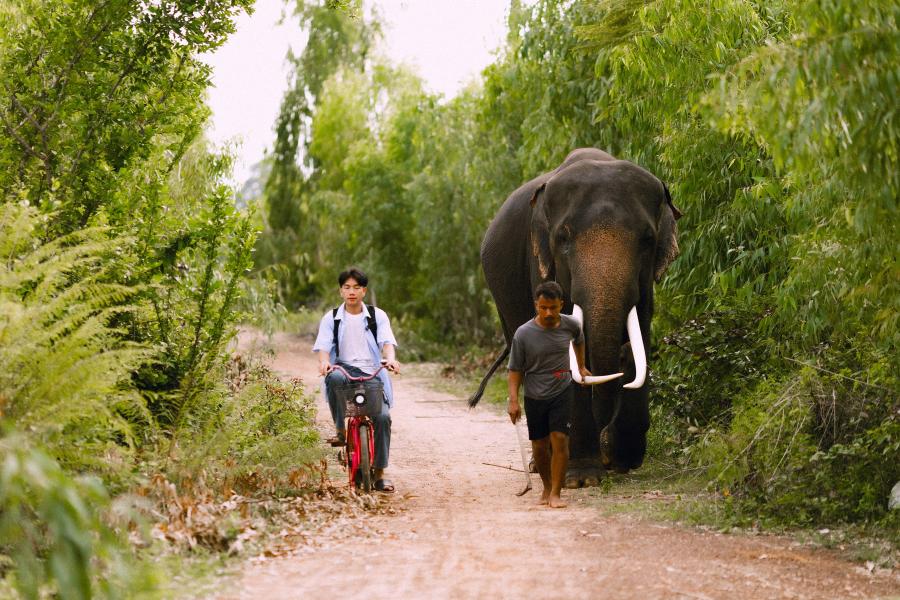 เส้นทางท่องเที่ยว Low Carbon