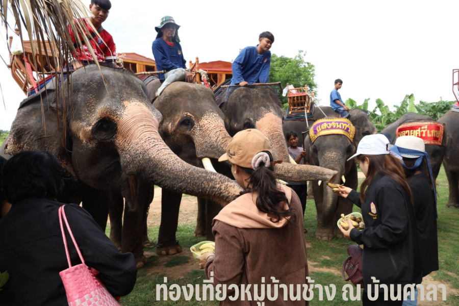 ชุมชนต้องเที่ยว